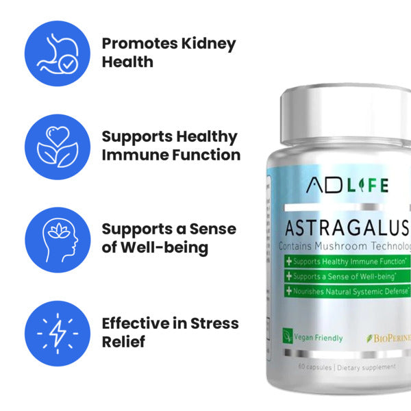 Astragalus | Kidney Health