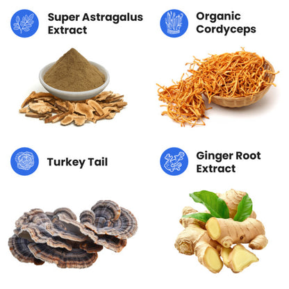 Astragalus | Kidney Health